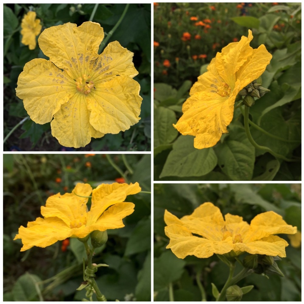 72CC1868-8B39-4E31-89C2-9C1F3B791E36