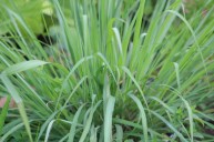 3915023301250899984_img_5657